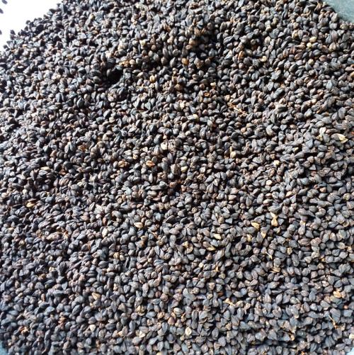 三高 不仅是中老年人的困扰，更是年轻人的隐形警钟