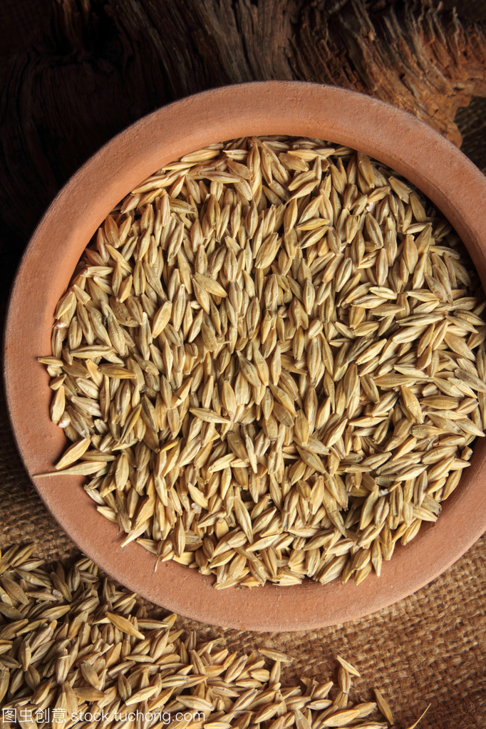 谷类植物与谷类作物 人类文明的基石